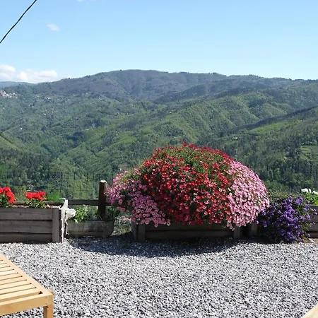 La Terrazza Sulle 9 Castella Holiday home Pescia
